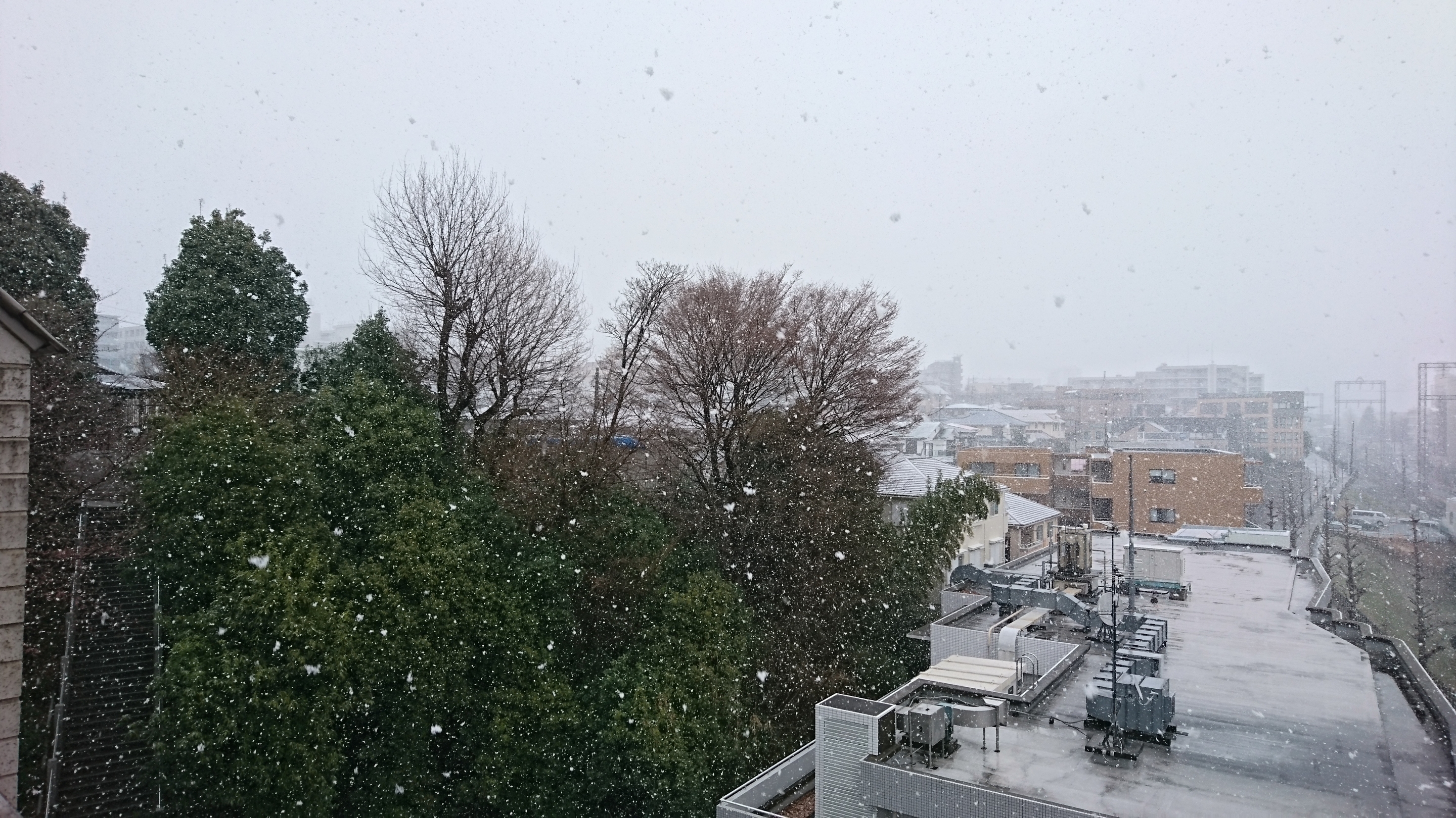 雪